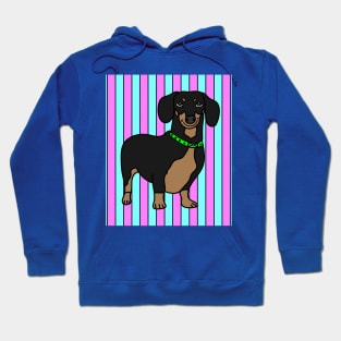 Funny Dachshund Dog Hoodie